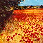 Field of Red and Gold by Steve Thoms